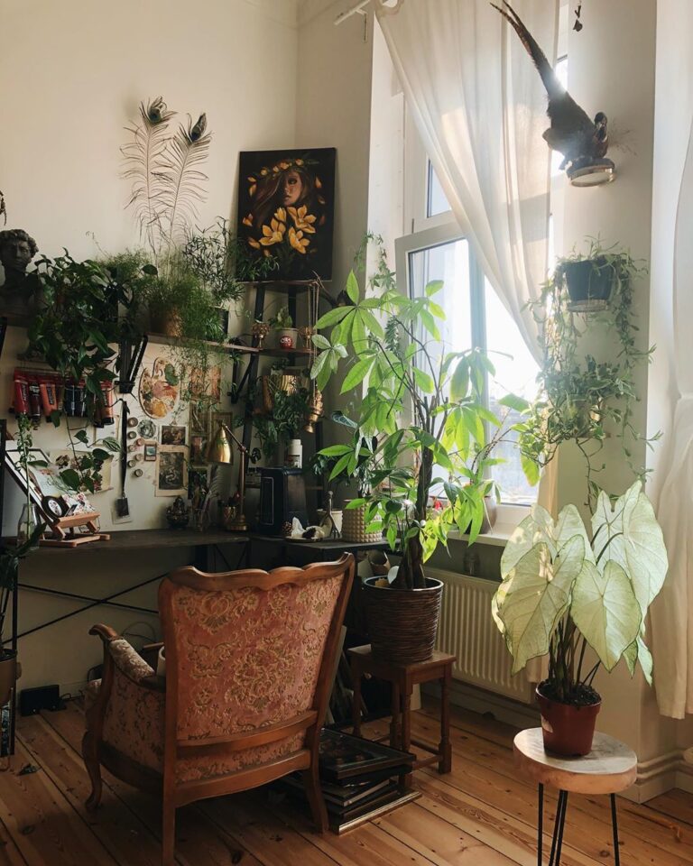 Plantas Para Apartamento: 25 Opções + Dicas E Inspirações