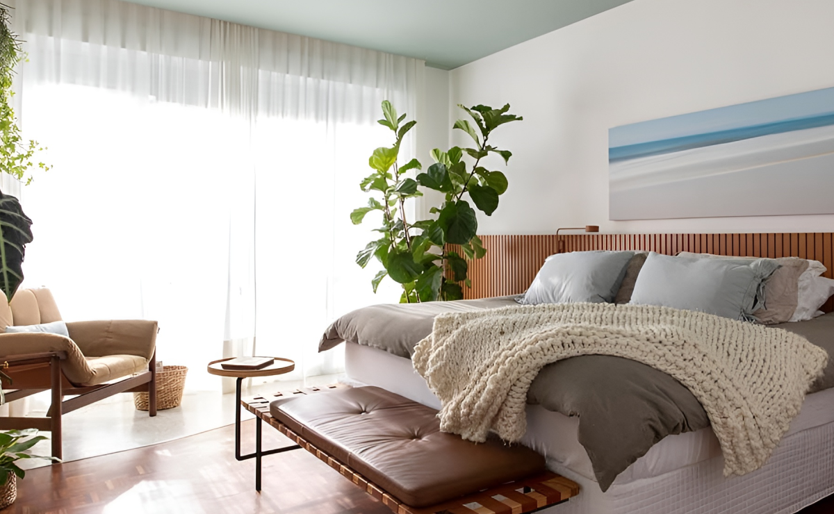 Plantas para quartos: 12 opções para decorar o seu cantinho